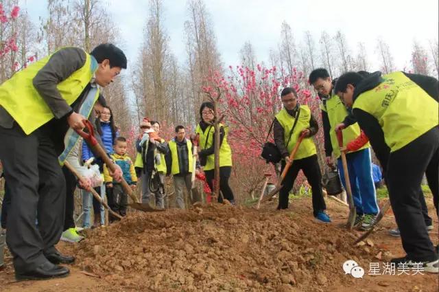 七星岩景区桃花,肇庆七星岩的桃花是什么颜色的