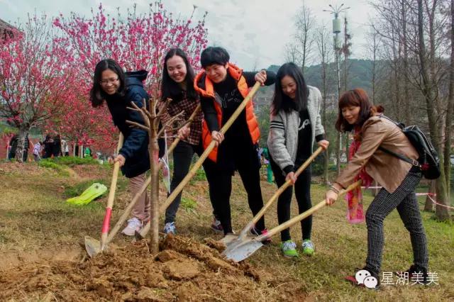 七星岩景区桃花,肇庆七星岩的桃花是什么颜色的