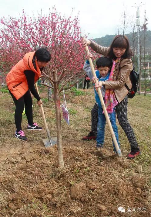 七星岩景区桃花,肇庆七星岩的桃花是什么颜色的