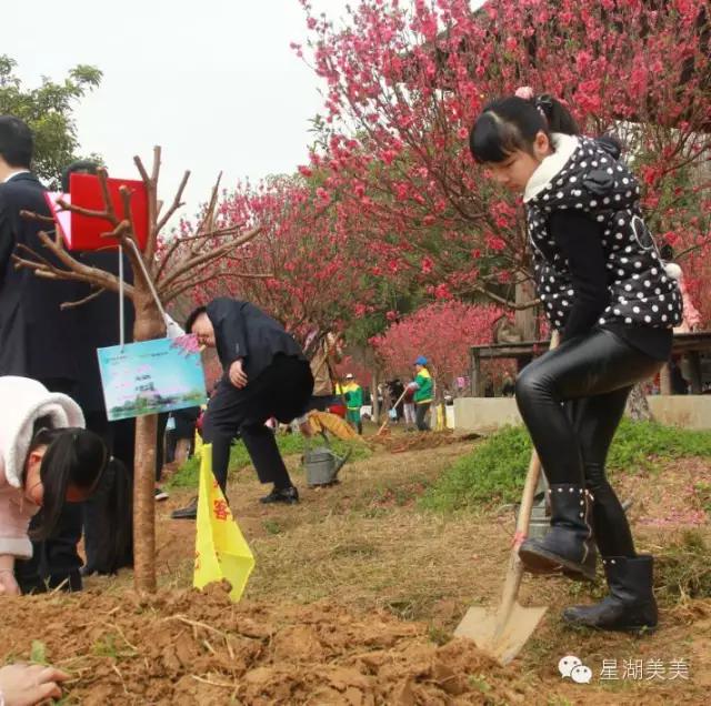七星岩景区桃花,肇庆七星岩的桃花是什么颜色的