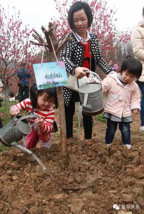 七星岩景区桃花,肇庆七星岩的桃花是什么颜色的