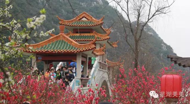 七星岩景区桃花,肇庆七星岩的桃花是什么颜色的