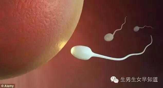 女人身上的那个洞可预测生男生女,男人你千万别乱动