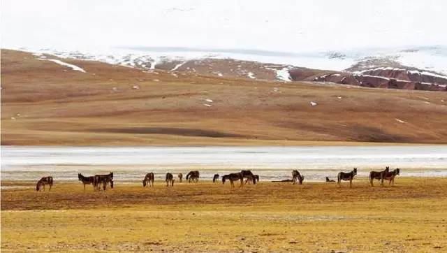 中国旅游100强排名,国内十大必去旅游胜地排名