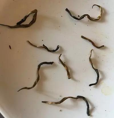 2万一斤的金骏眉,真正的金骏眉多少一斤