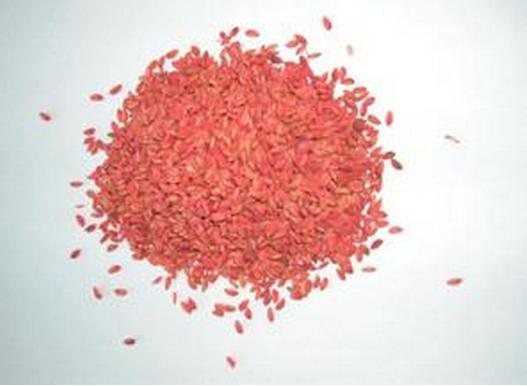 女子在火锅店吃饭掉老鼠,女子吃火锅吃出了老鼠尾巴