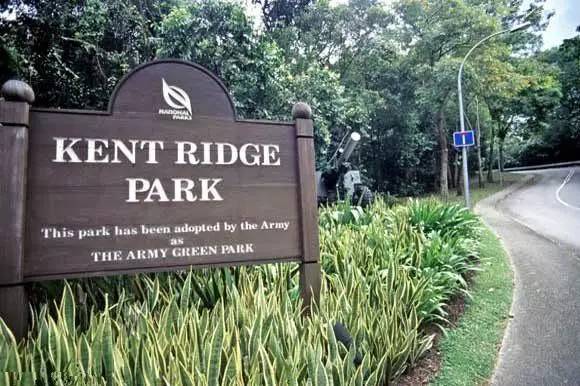 新加坡东海岸徒步攻略,新加坡雨天徒步路线图