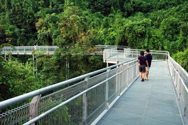 新加坡东海岸徒步攻略,新加坡雨天徒步路线图