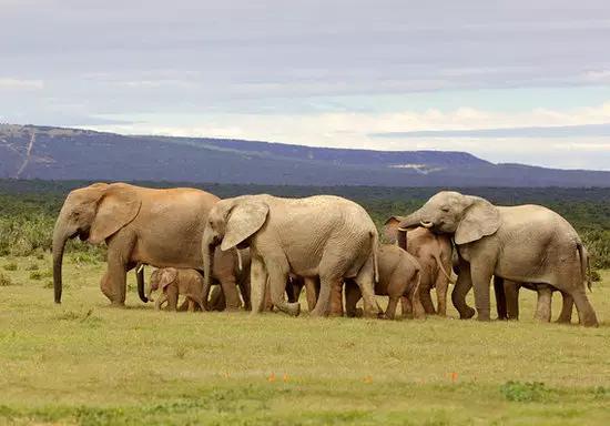 中国护照互免签国家一览,中国普通护照免签国家最值得去