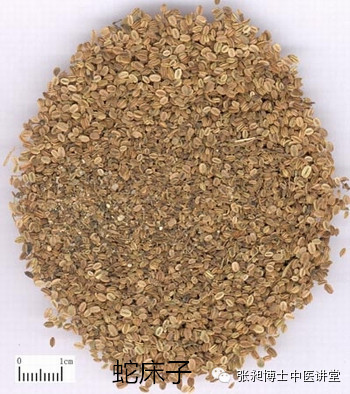 皮肤瘙痒红肿难耐,老人皮肤瘙痒怎么治