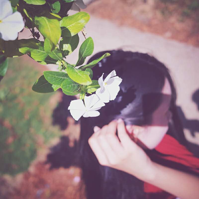 清迈批发市场——伴手礼天堂(不买怎么对得起自己)