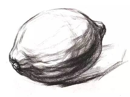 从零开始学绘画简单入门,一分钟了解中国画