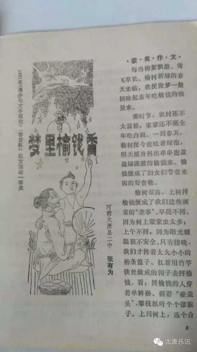 (太康记忆)二十年前的味道:梦里榆钱香