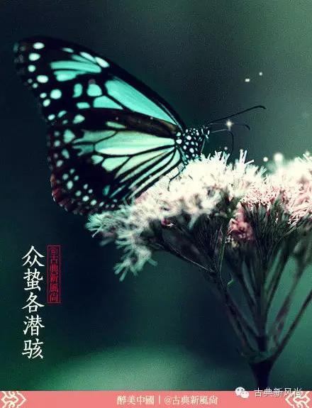 惊蛰二月节书法,惊蛰二月节古诗朗诵