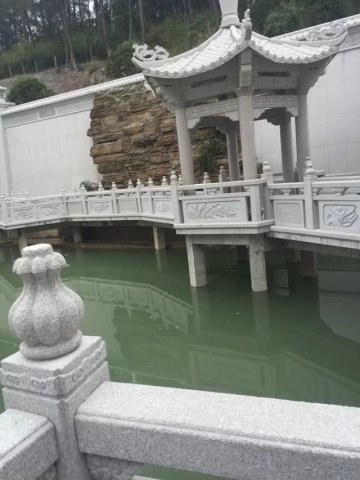 大冶富豪最新排名,大冶各镇千万富豪名单