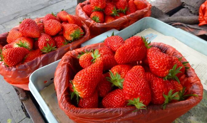 写个日志就把草莓卖了,你以为这一点都不神奇?