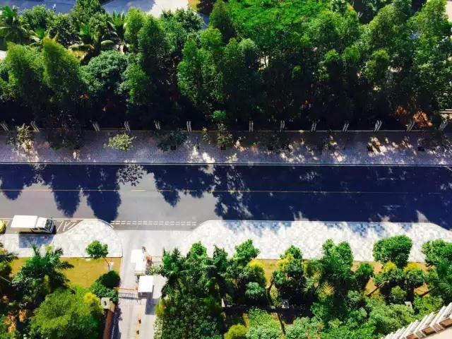 东坑远远不止*身卖**节，“地头蛇”带你一天玩尽东坑！