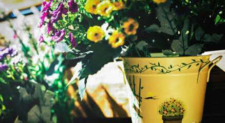 女王你好,女王你好原创