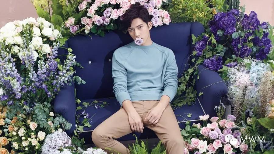 倪妮羡慕别人的爱情,倪妮和井柏然谈多久