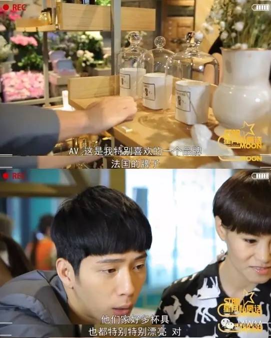 倪妮羡慕别人的爱情,倪妮和井柏然谈多久