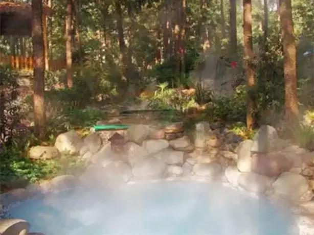 这个周末带孩子去玩,赏花春游好去处花博园