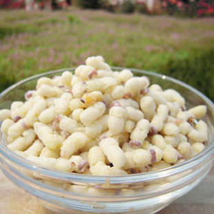 蜜蜂对人类的贡献有哪些,蜜蜂可以带来什么