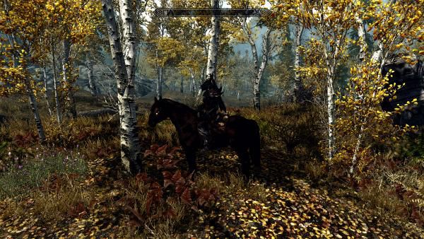 上古卷轴5天际特别版控制台代码,上古卷轴5添加法术控制台代码