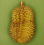 产妇吃水果需要注意什么,孕妈妈吃水果什么时间段吃比较好