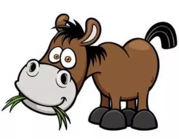 动物肾结石怎么造成的,人得了结石病哪些东西吃不得