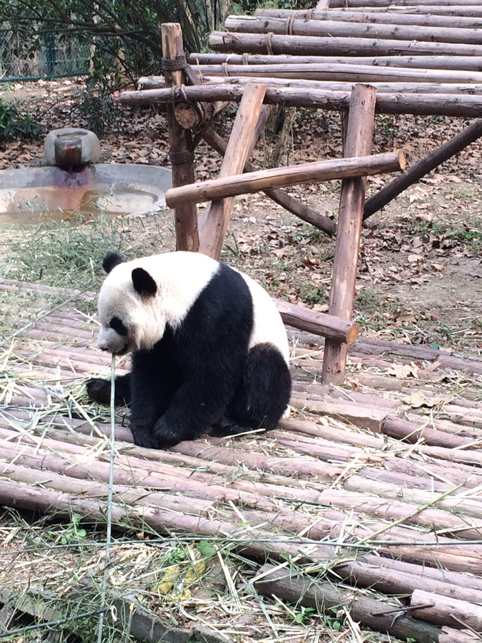 我们的故事缘定这里-四川