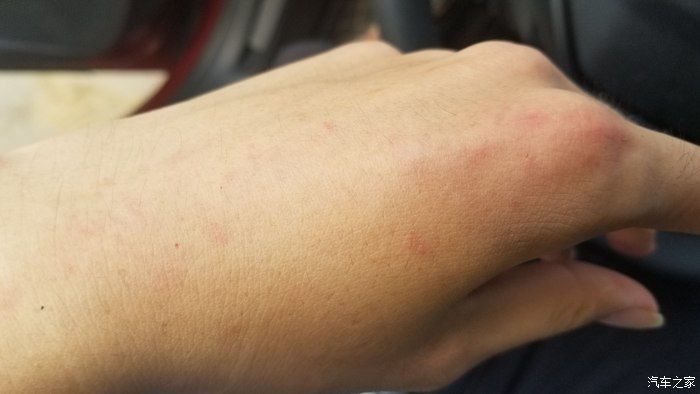 标致508红色视频,标致508试驾视频38号