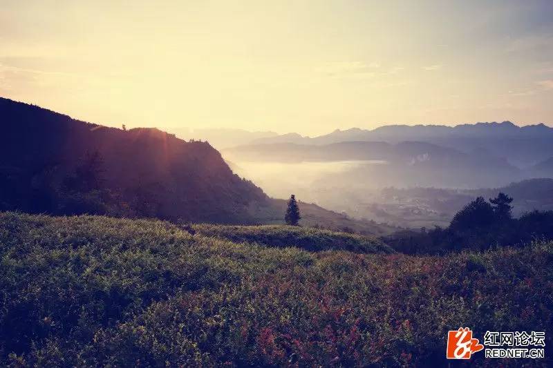传说中的世外桃源:走进千年土家长寿村