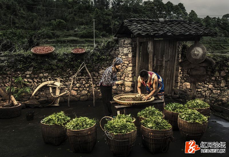 传说中的世外桃源:走进千年土家长寿村
