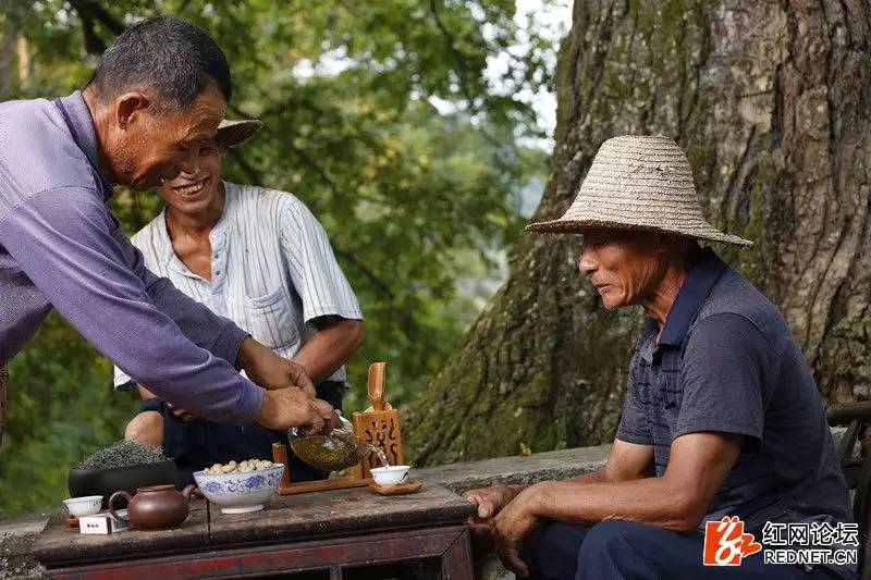 传说中的世外桃源:走进千年土家长寿村