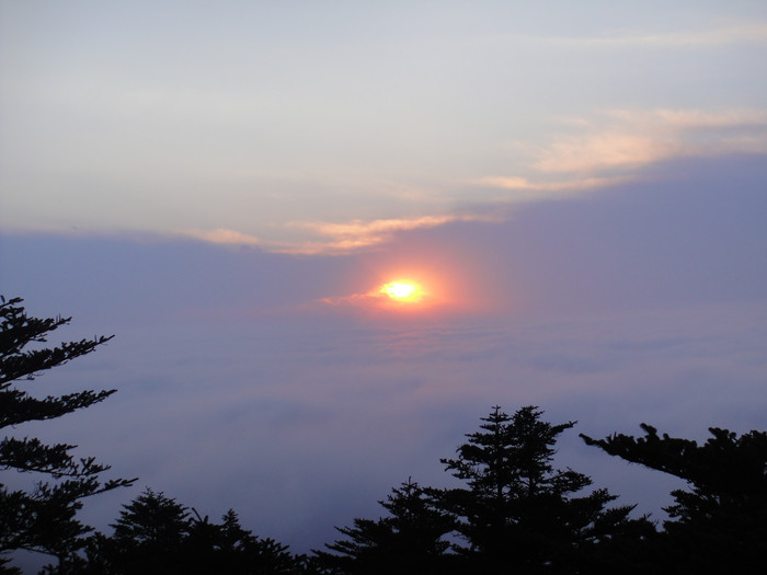 我们的故事缘定这里-四川