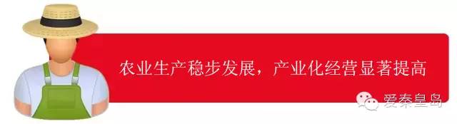 秦皇岛权威信息,秦皇岛市数据分析