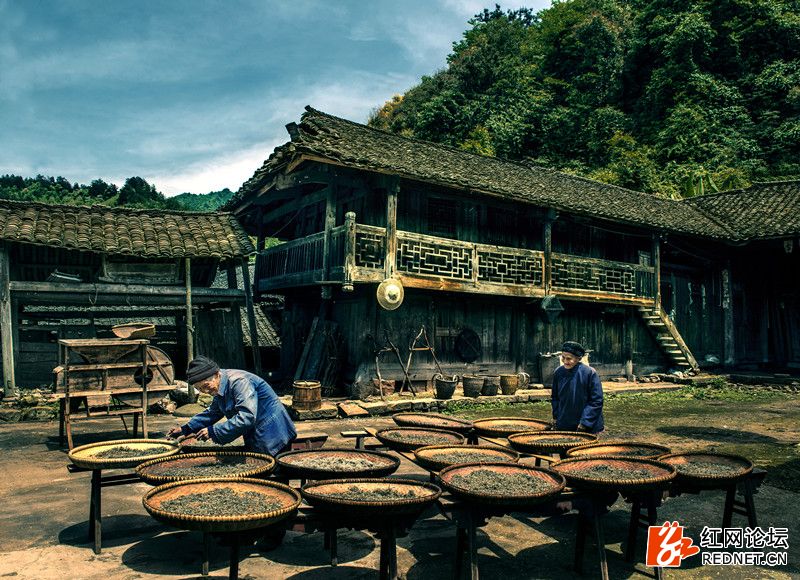 传说中的世外桃源:走进千年土家长寿村