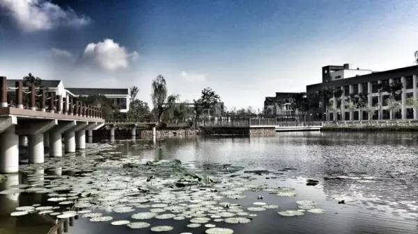 相城区有什么新学校,相城大学有哪些