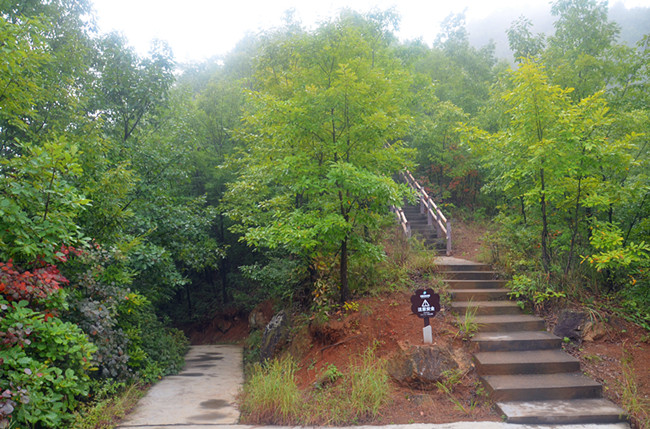 老君山仙境高清图片,老君山似天上宫阙