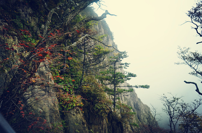 老君山仙境高清图片,老君山似天上宫阙