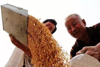 丰收白条:给农民办张无形的信用卡