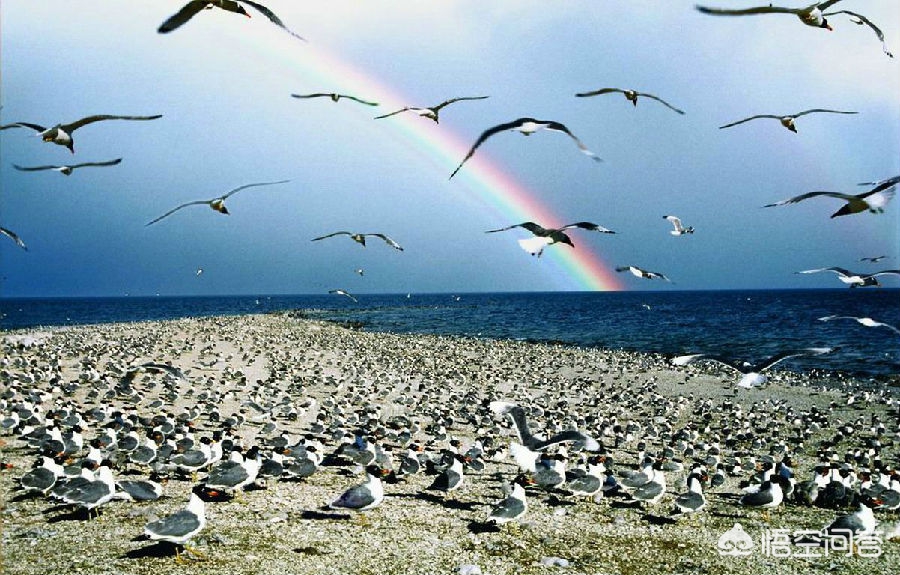 各省旅游景点地图和分布图,各省标志性景点