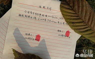 债务人跑了怎么追回来,债务人跑路了怎么追回