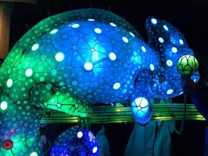 当一只“反季候鸟“，直飞到悉尼过冬天买UGG，是成都人今年暑假新玩法！