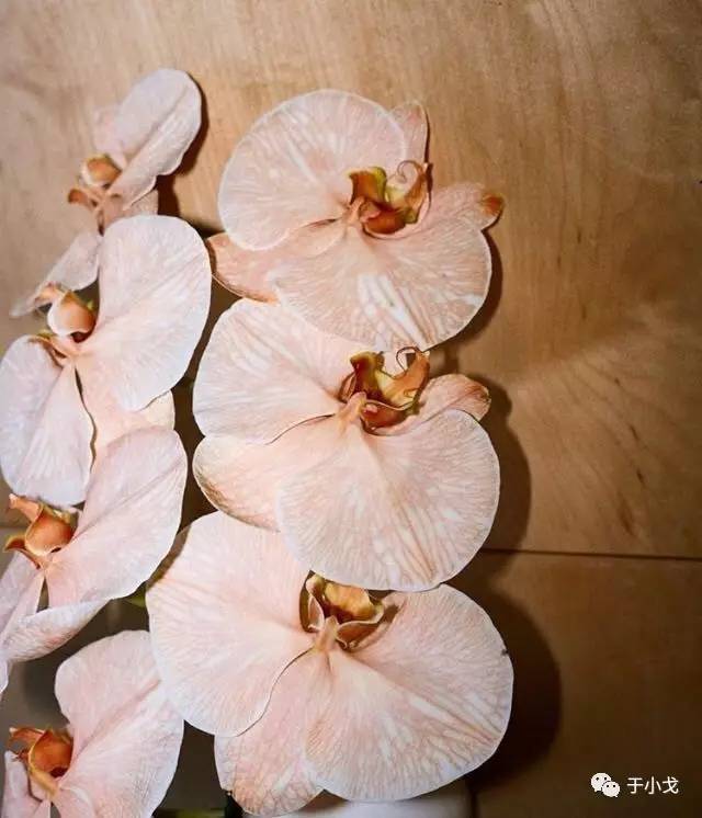 断舍离你认为你最该扔掉的东西,断舍离后你的东西变少了吗