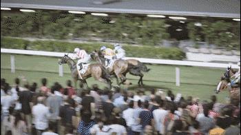 香港十元能买到什么,香港10元可以买什么东西