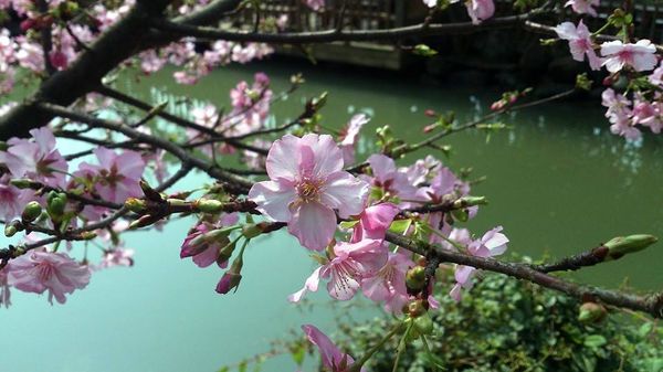 淡水老城区百年老街美食推荐,淡水美景美食