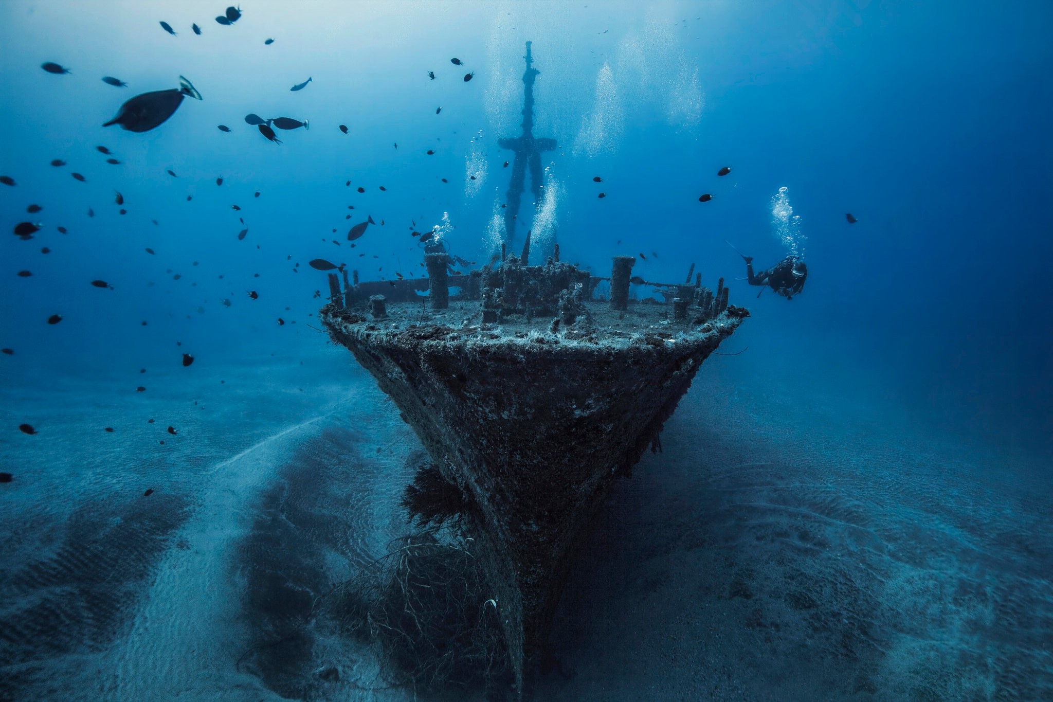 千万不要把潜水人像拍成糖水片