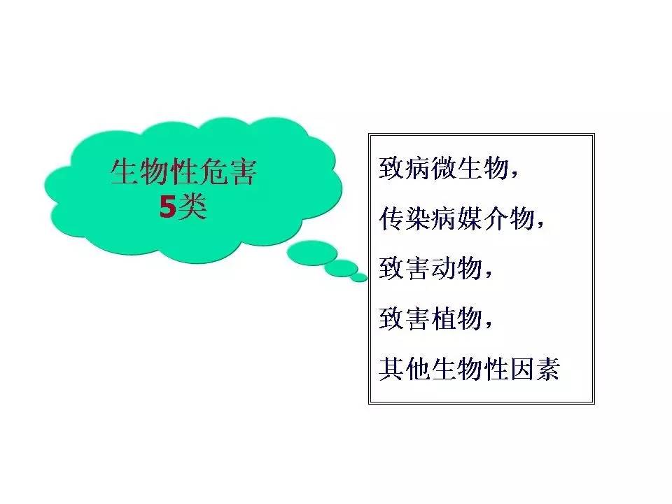 安全隐患ppt,内部控制与风险管理ppt