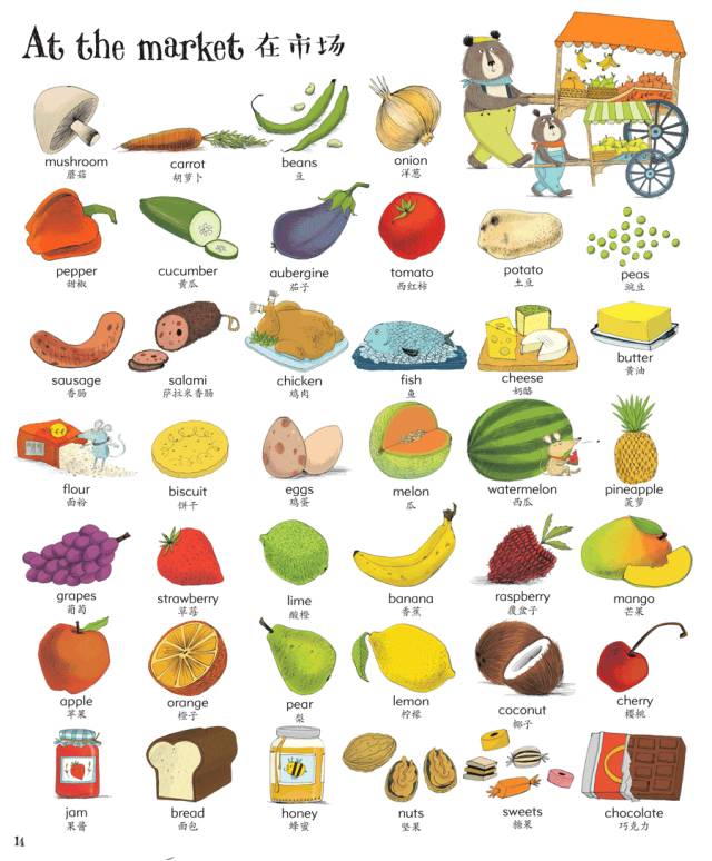 阅读陪伴孩子探索奇妙世界,陪伴孩子暑假愉快的周末时光